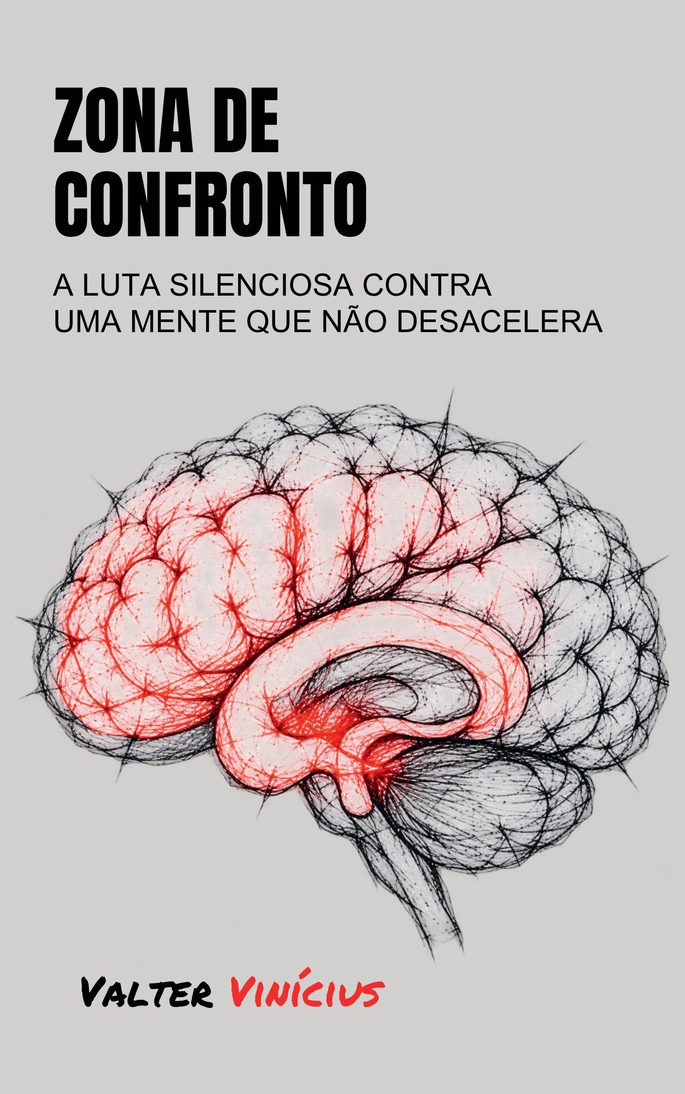 Capa do livro Zona de Confronto